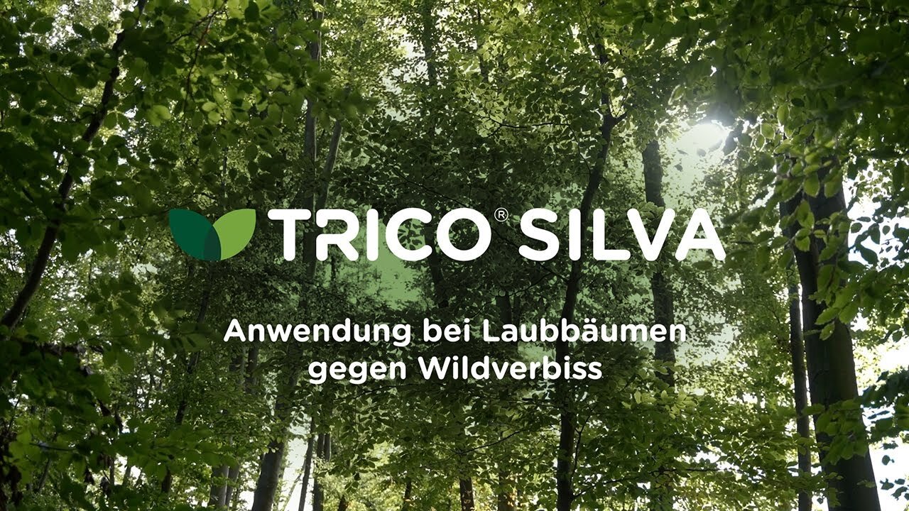 TRICO<sup>®</sup> SILVA: Anwendung bei Laubbäumen gegen Wildverbiss