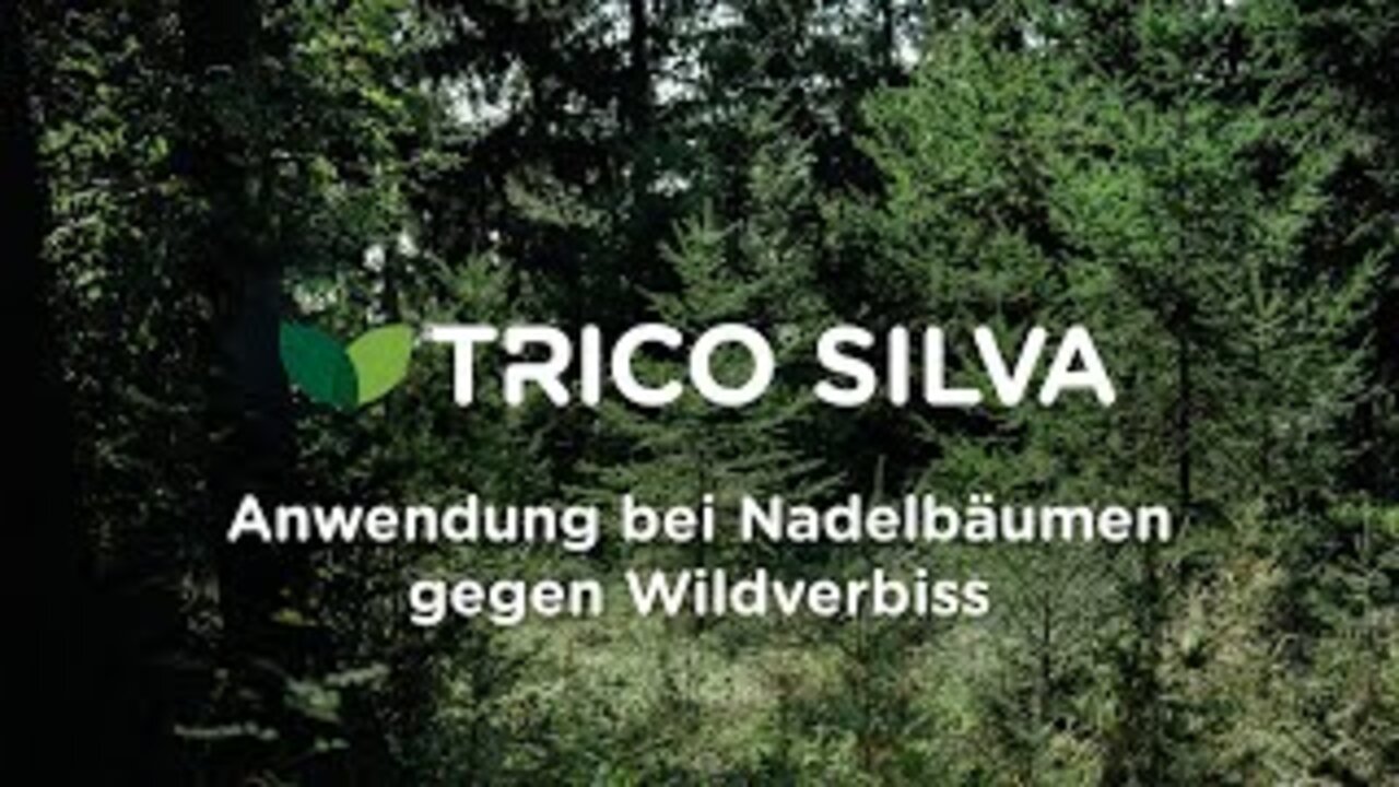 TRICO<sup>®</sup> SILVA: Anwendung bei Nadelbäumen gegen Wildverbiss
