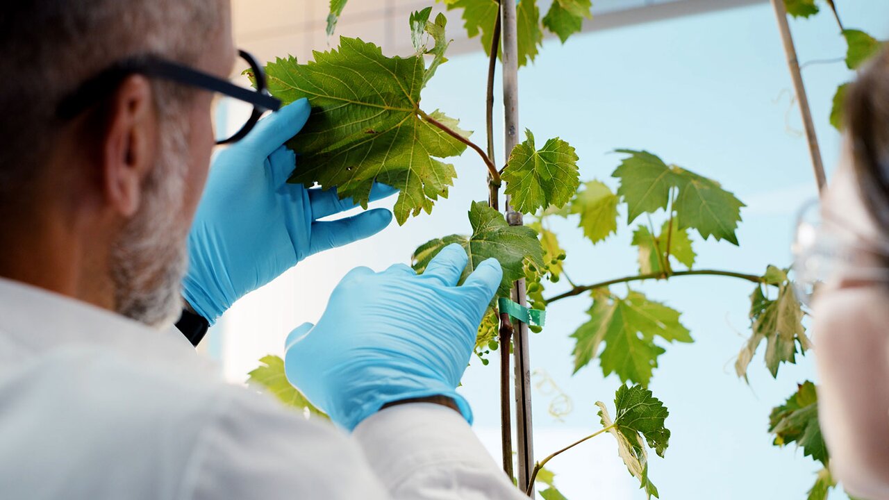 Erfahren Sie mehr zu unseren biologischen Eigenprodukten