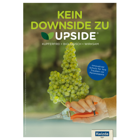 UPSIDE® Infoblatt