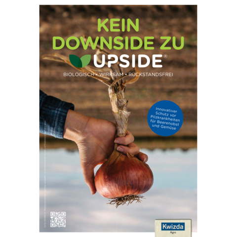 UPSIDE® Infoblatt Obst und Gemüsse