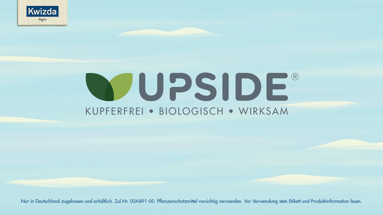 UPSIDE® erklärt