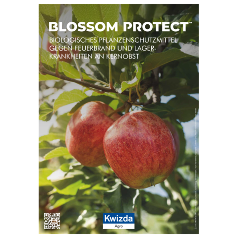 BLOSSOM PROTECT™ Broschüre